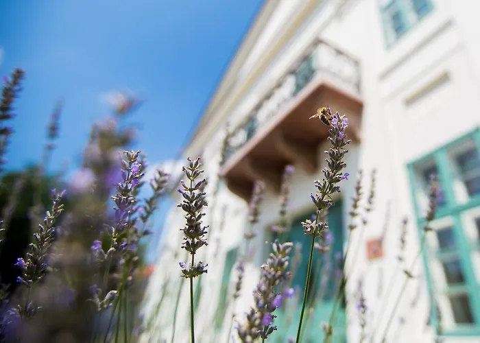 Hotel Erzsebet Nagy Szalloda